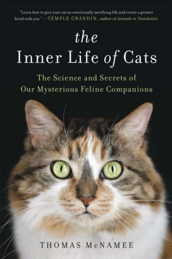 The Inner Life of Cats av Thomas McNamee