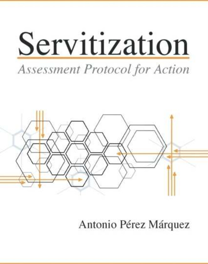 Servitization av Antonio Perez Marquez