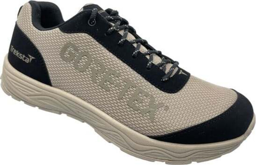 Campus Low GoreTex 39