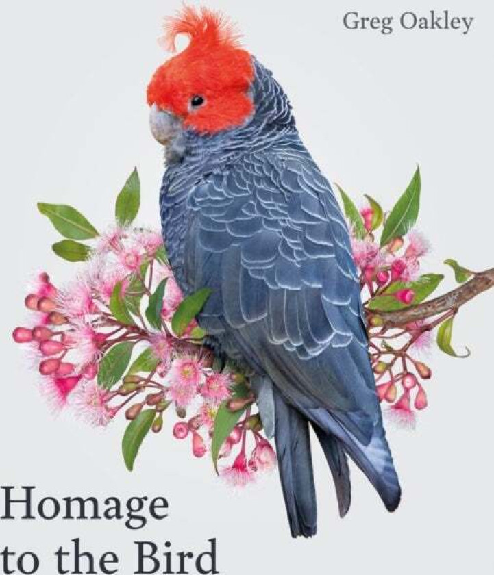 Homage to the Bird av Greg Oakley