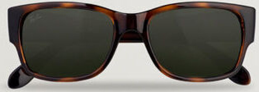 0RB4388 Sunglasses Havana