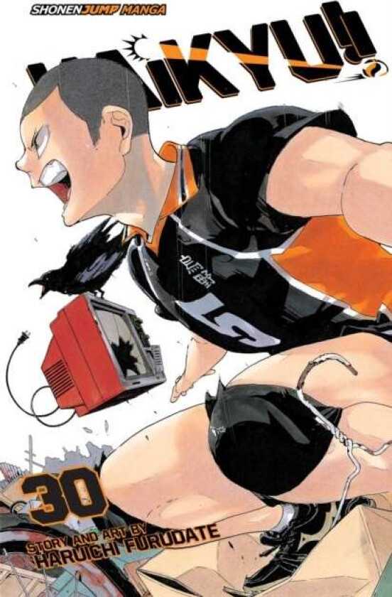 Haikyu!!, Vol. 30 av Haruichi Furudate