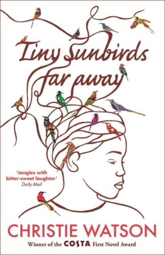 Tiny Sunbirds Far Away av Christie Watson