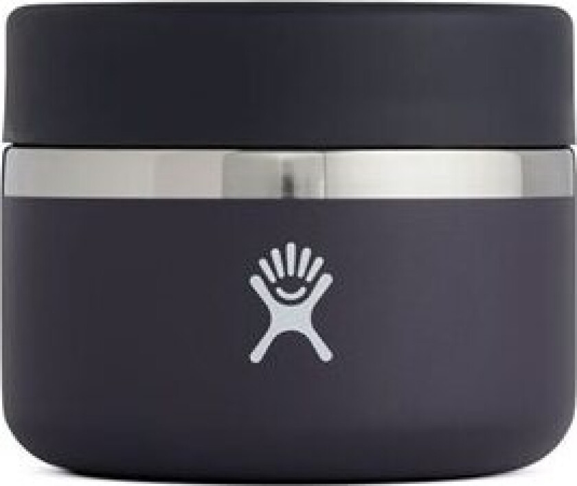 12 oz Insulated Food Jar blackberry