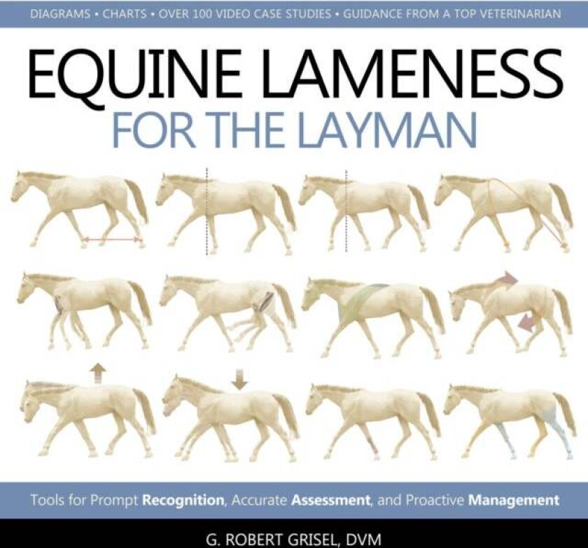 Equine Lameness for the Layman av G. Robert Grisel