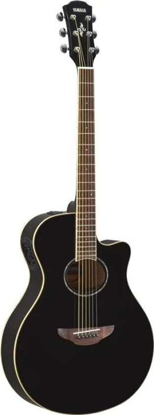 APX 600 Black