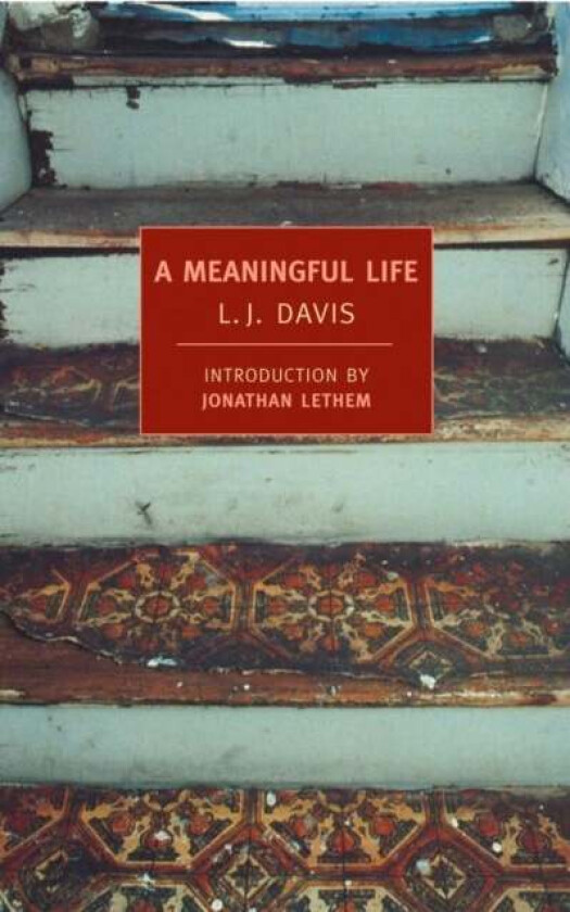A Meaningful Life av L.J. Davis
