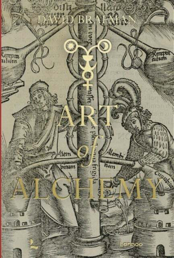 Art of Alchemy av David Brafman