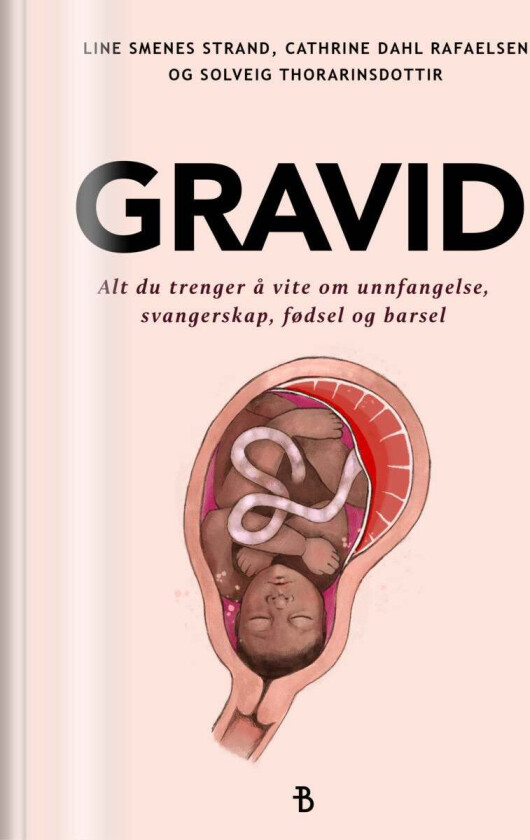 Gravid av Cathrine Dahl Rafaelsen, Solveig Thorarinsdottir, Line Smenes Strand