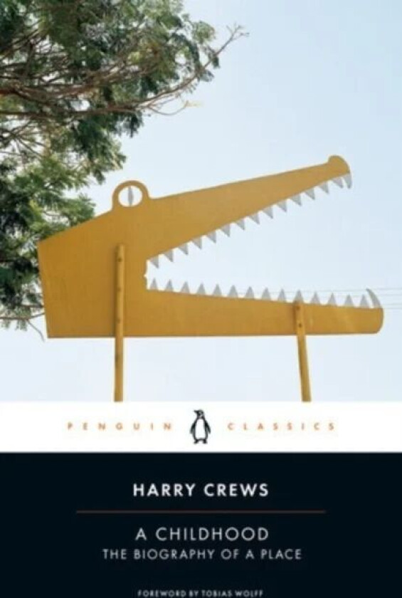 A Childhood av Harry Crews