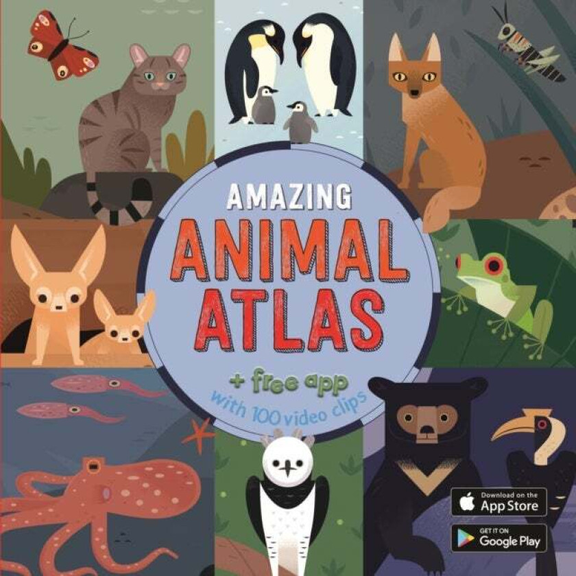 The Amazing Animal Atlas av Anne McRae
