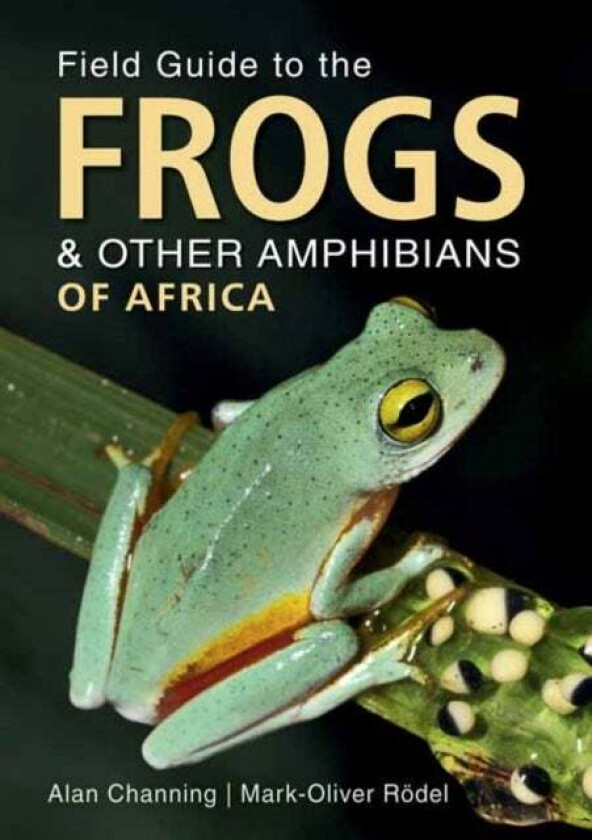 Field Guide to Frogs and Other Amphibians of Africa av Alan Channing, Mark-Oliver Roedel