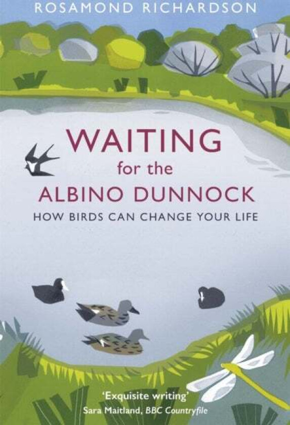 Waiting for the Albino Dunnock av Rosamond Richardson