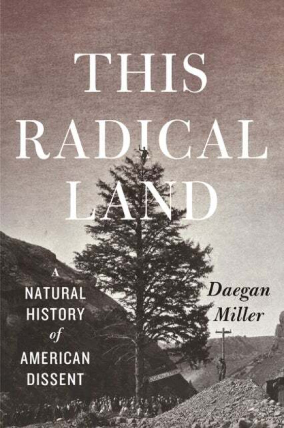 This Radical Land av Daegan Miller