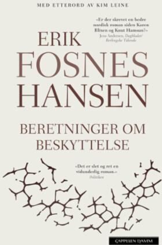 Beretninger om beskyttelse 1 av Erik Fosnes Hansen