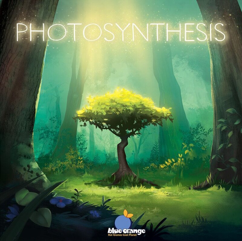 Photosynthesis (EN)