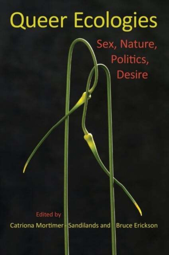 Queer Ecologies av Catriona Mortimer-Sandilands, Bruce Erickson