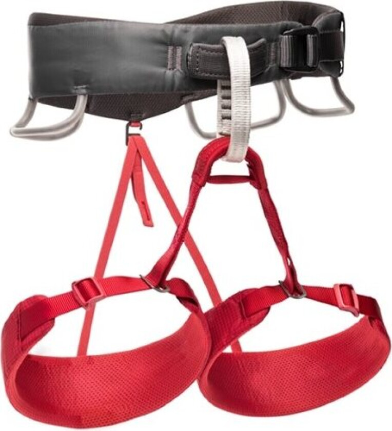 Momentum Harness Woman Wild Rose Medium
