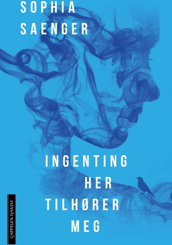 Ingenting her tilhører meg av Sophia Saenger