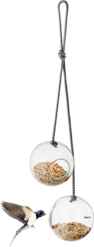 - Glass Bird Feeders (571019)