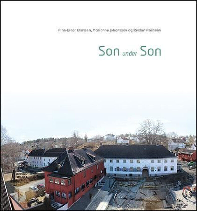 Son under Son av Reidun Aasheim, Finn-Einar Eliassen, Marianne Johansson