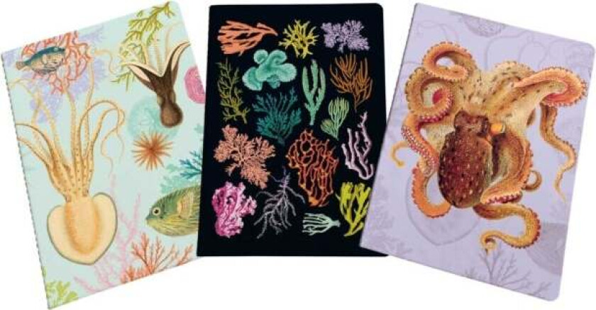 Art of Nature: Under the Sea Sewn Notebook Collection av Insight Editions