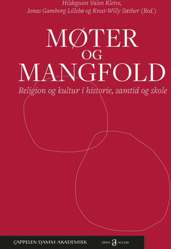 Møter og mangfold