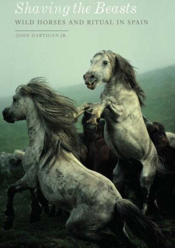 Shaving the Beasts av John Hartigan Jr.