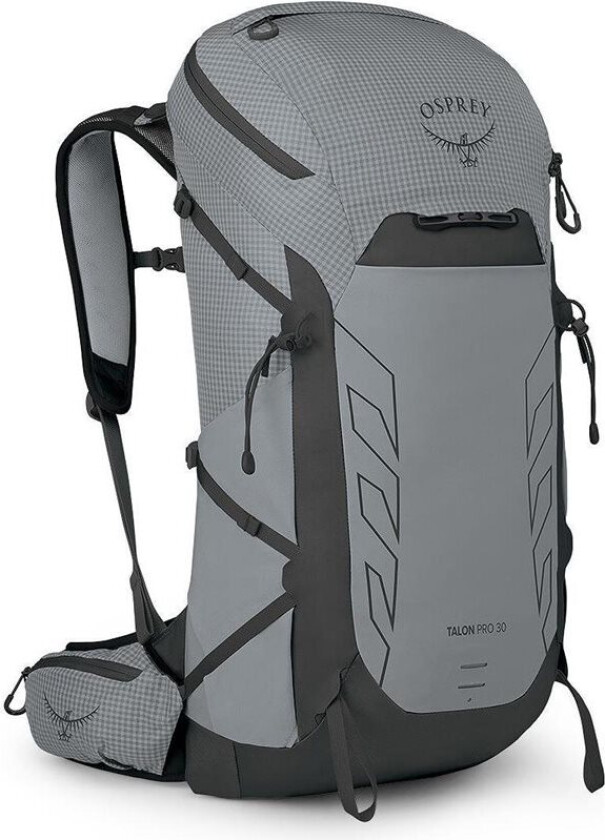 Talon Pro 30 Backpack Silver Lining