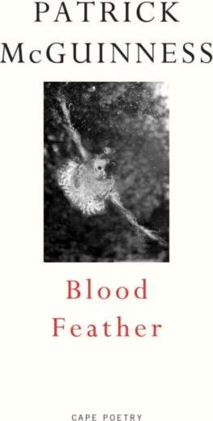 Blood Feather av Patrick McGuinness