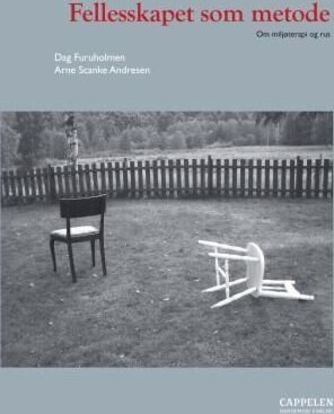 Fellesskapet som metode av Arne Schanche Andresen, Dag Furuholmen