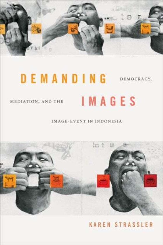 Demanding Images av Karen Strassler