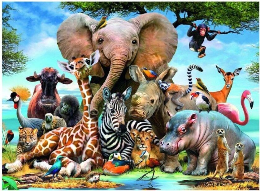 - African Friends 300p - 13075