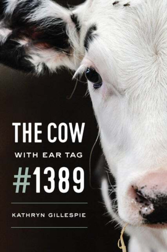 The Cow with Ear Tag #1389 av Kathryn Gillespie