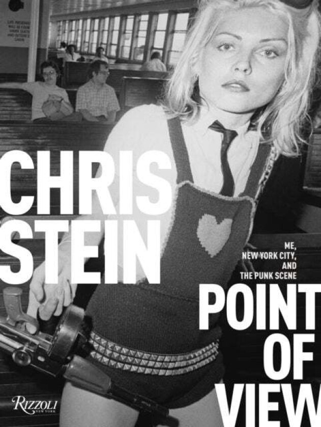Point of View av Chris Stein