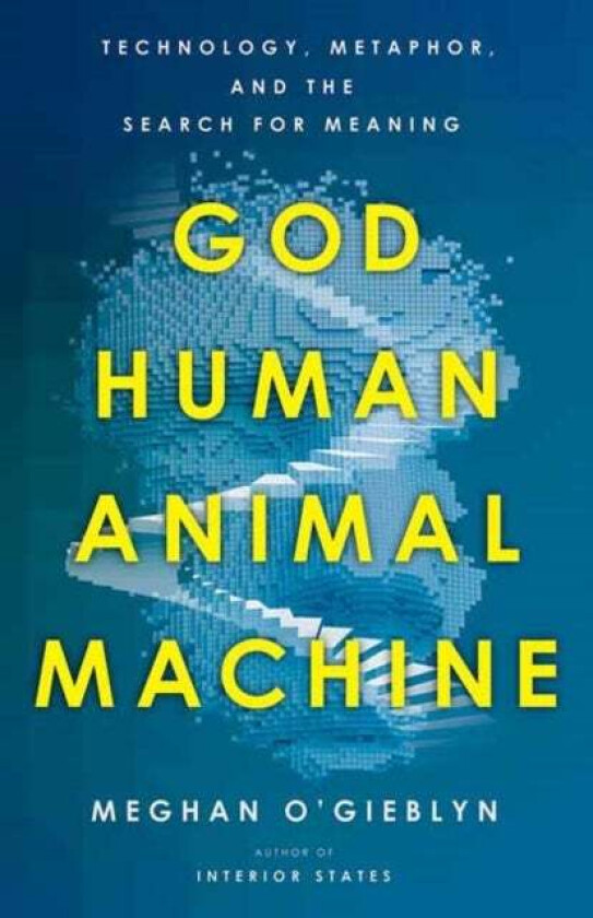 God, Human, Animal, Machine av Meghan O'Gieblyn