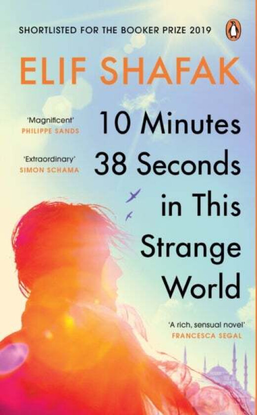 10 minutes 38 seconds in this strange world av Elif Shafak