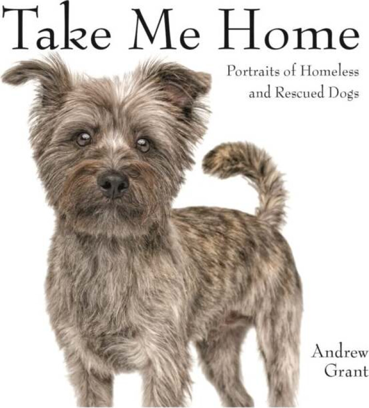 Take Me Home! av Andrew Grant