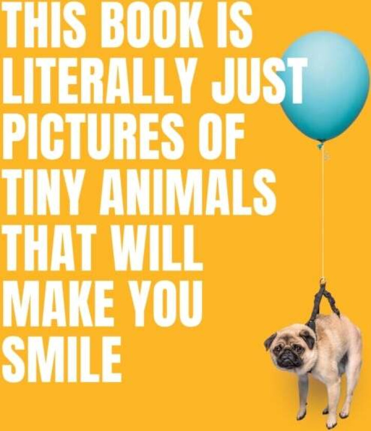 This Book Is Literally Just Pictures of Tiny Animals That Will Make You Smile av Smith Street Books