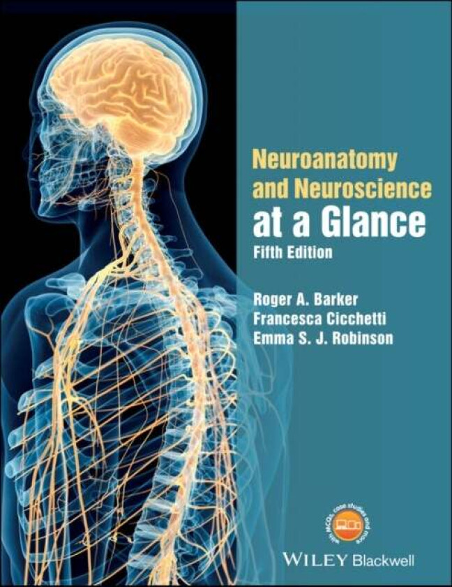 Neuroanatomy and Neuroscience at a Glance av Roger A. (Addenbrooke's Hospital and Cambridge Medical School) Barker, Francesca (Centre de Recherch