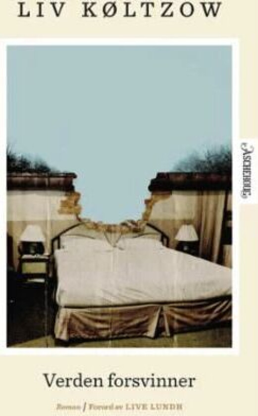 Verden forsvinner av Liv Køltzow