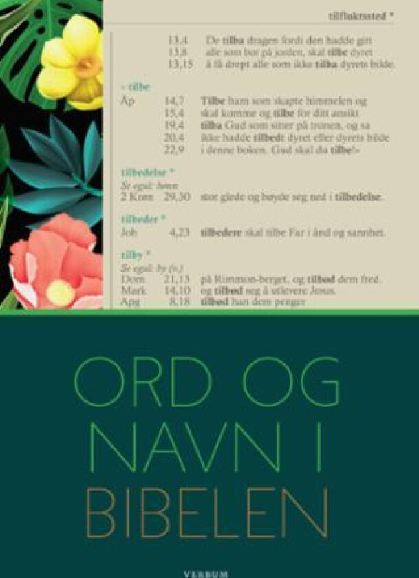 Ord og navn i Bibelen av Ingvild Røsok, Steinar Skarpnes