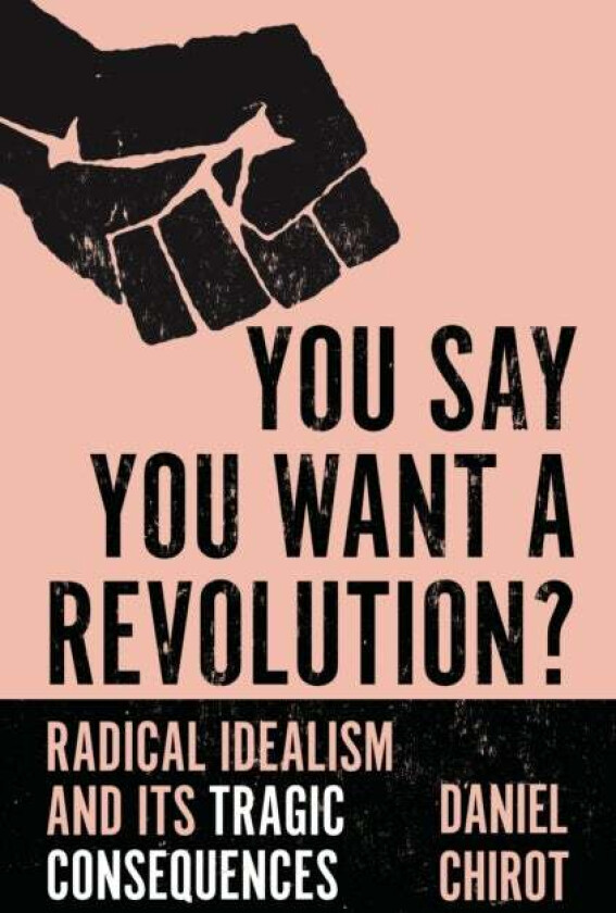You Say You Want a Revolution? av Daniel Chirot