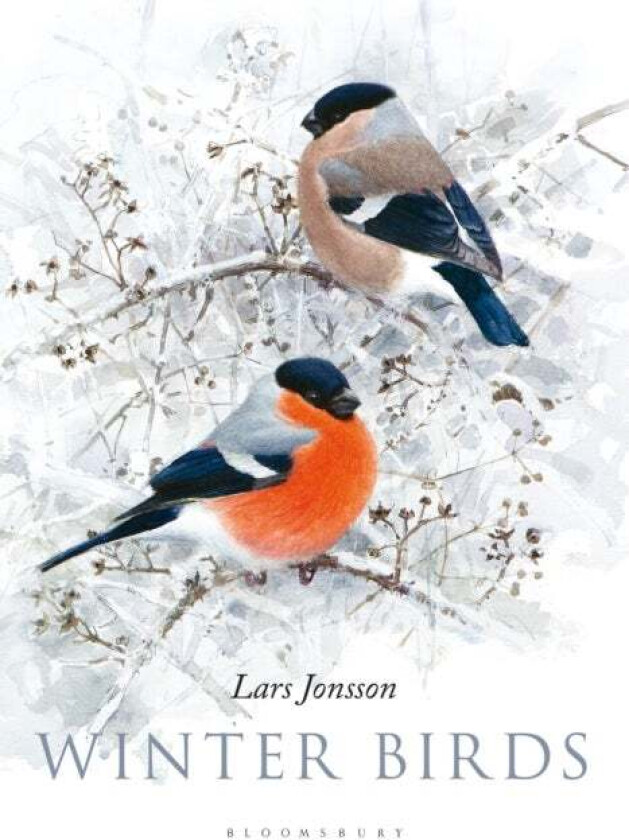 Winter Birds av Lars Jonsson