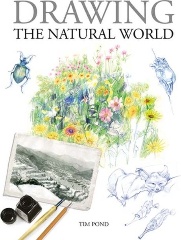 Drawing the Natural World av Tim Pond