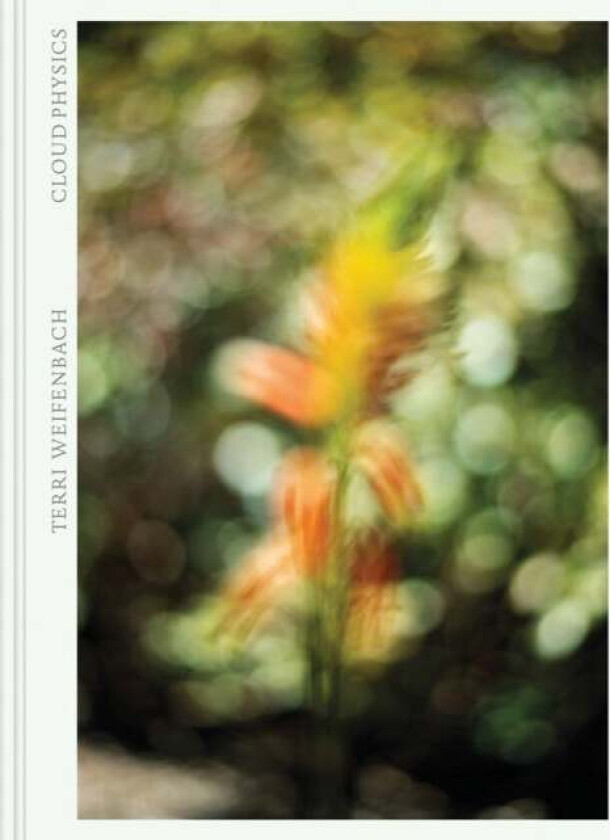Terri Weifenbach: Cloud Physics