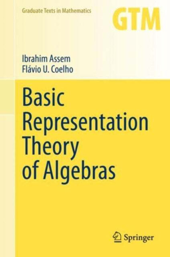 Basic Representation Theory of Algebras av Ibrahim Assem, Flavio U. Coelho