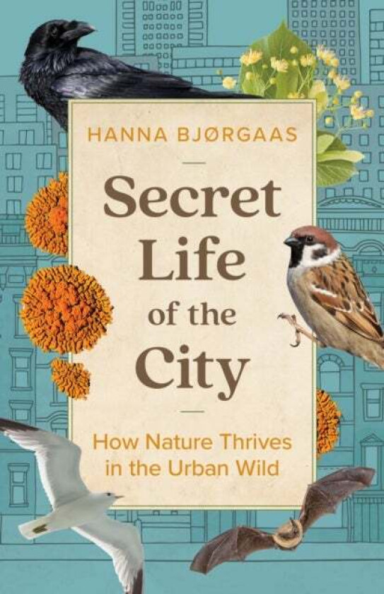 Secret Life of the City av Hanna Hagen Bjorgaas