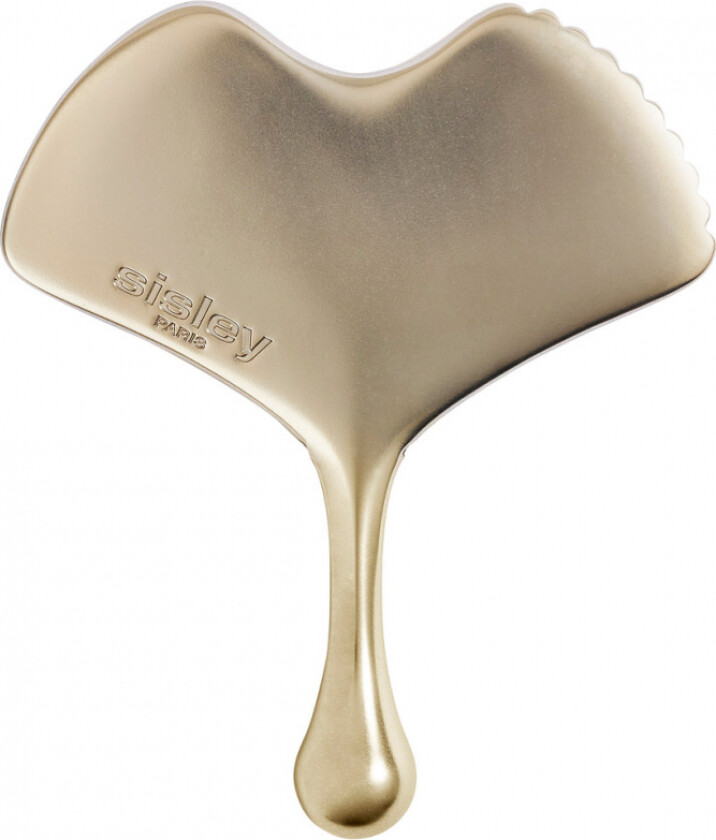 Ginkgo Gua Sha