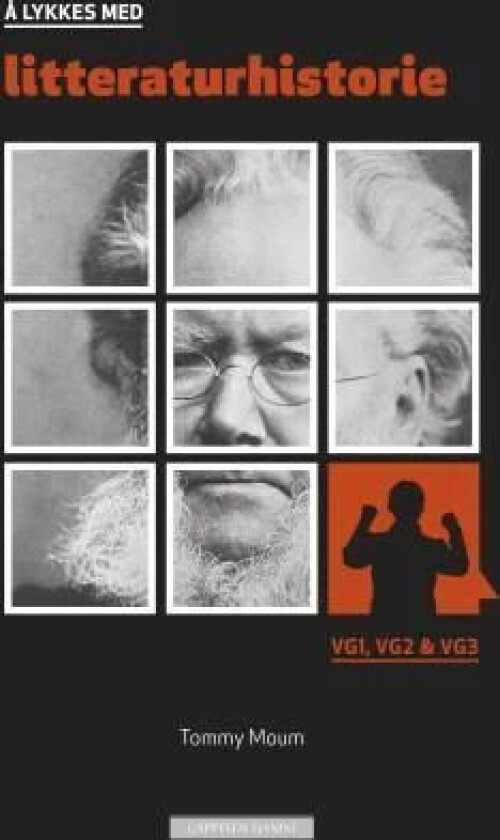 Å lykkes med litteraturhistorie av Tommy Moum